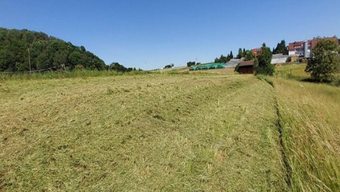 !!! Auf meiner Ranch bin ich König ... !!!
