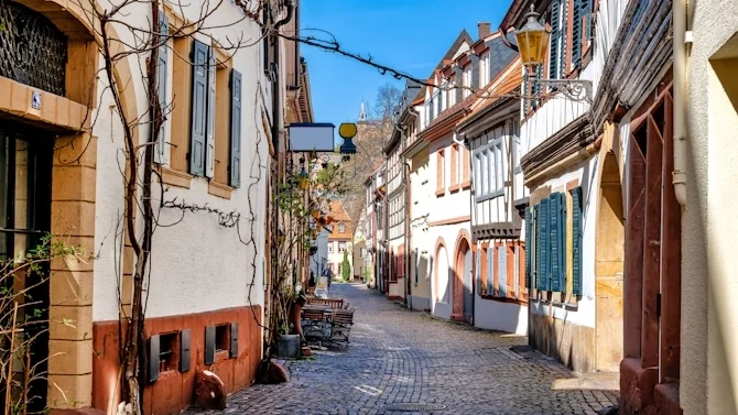 Immobilienmarkt in der Pfalz