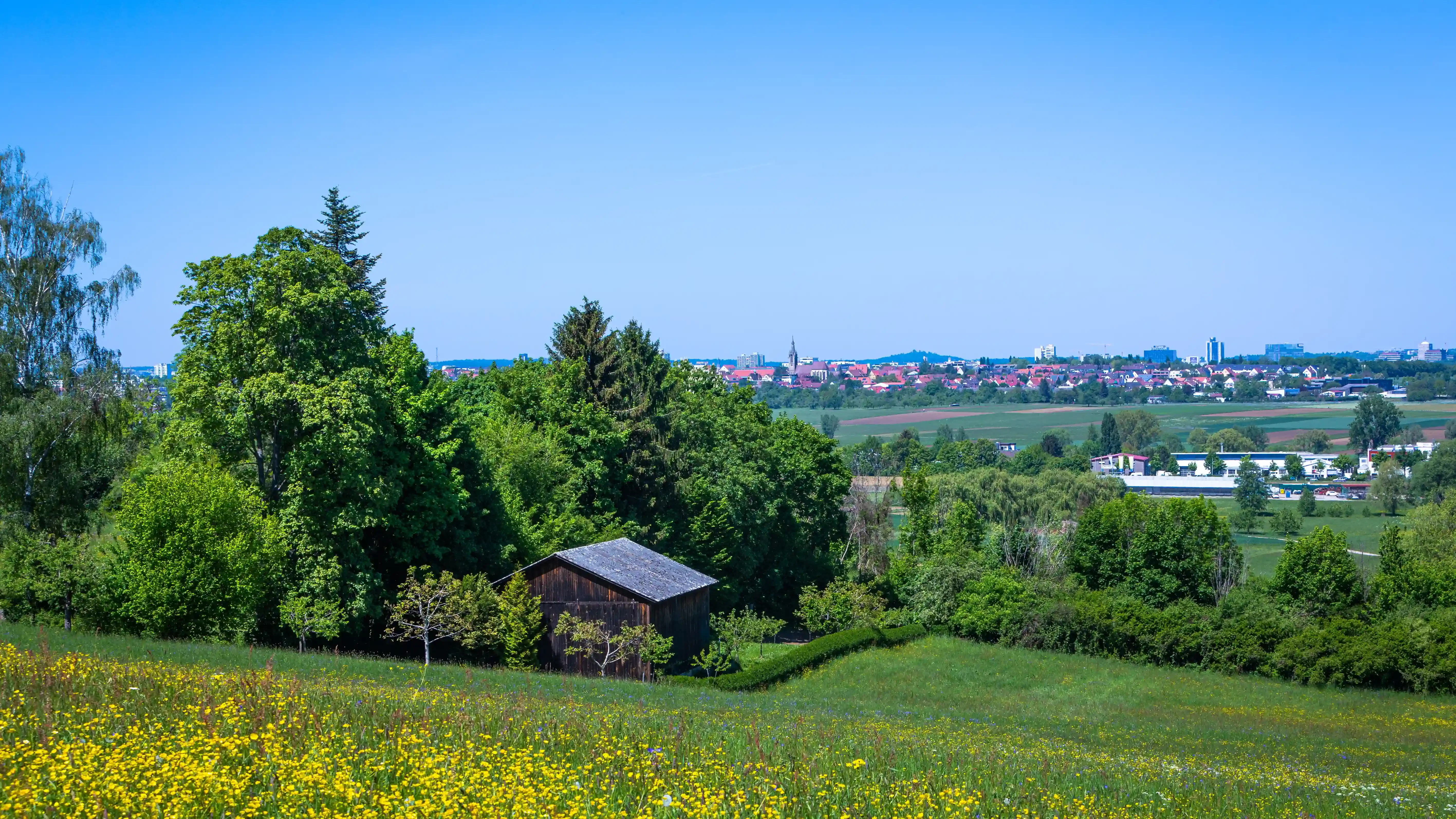 Erfahren Sie mehr über den Immobilienmarkt in Leinfelden-Echterdingen