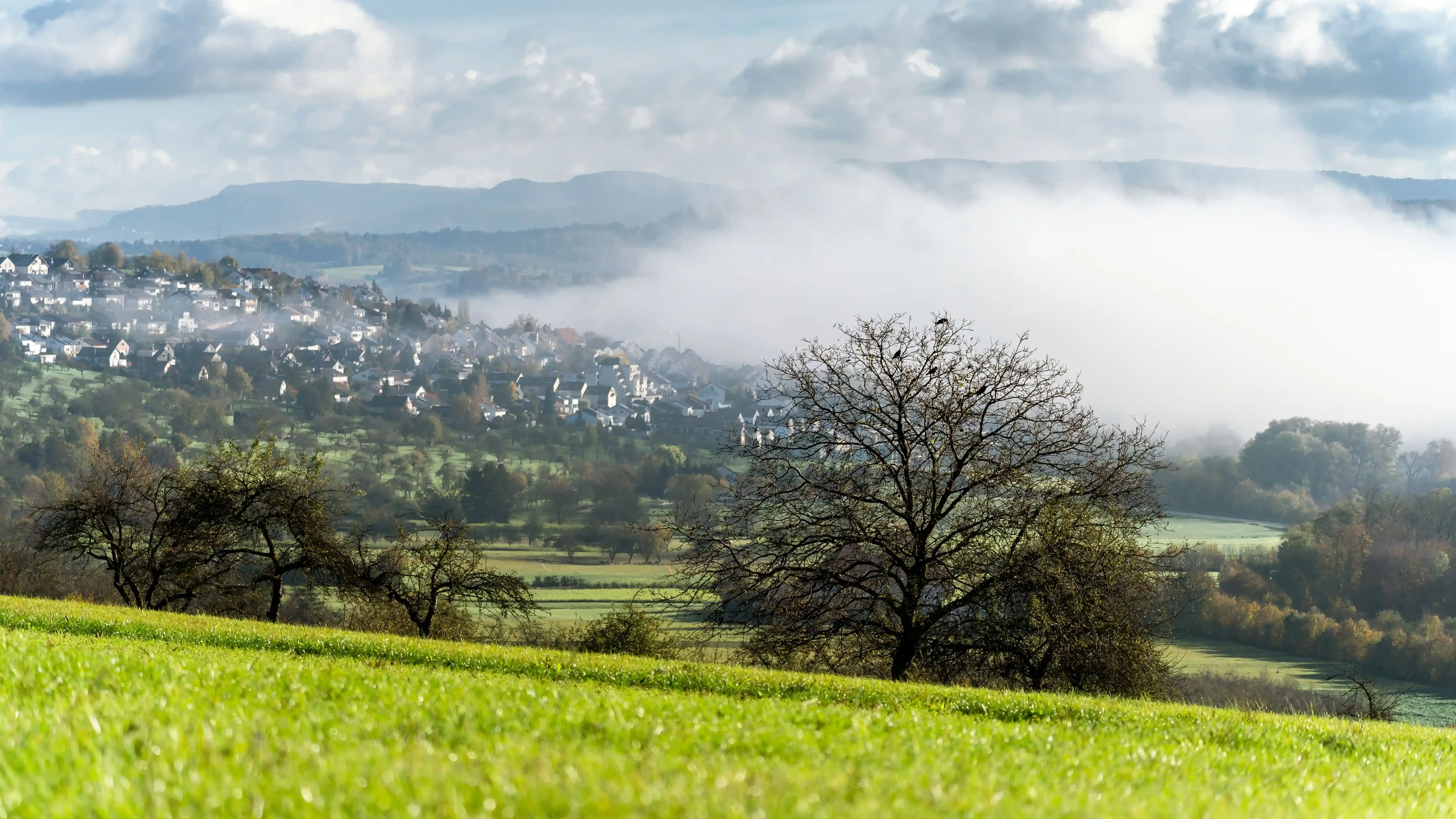 Erfahre mehr über den Immobilienmarkt in Oberboihingen