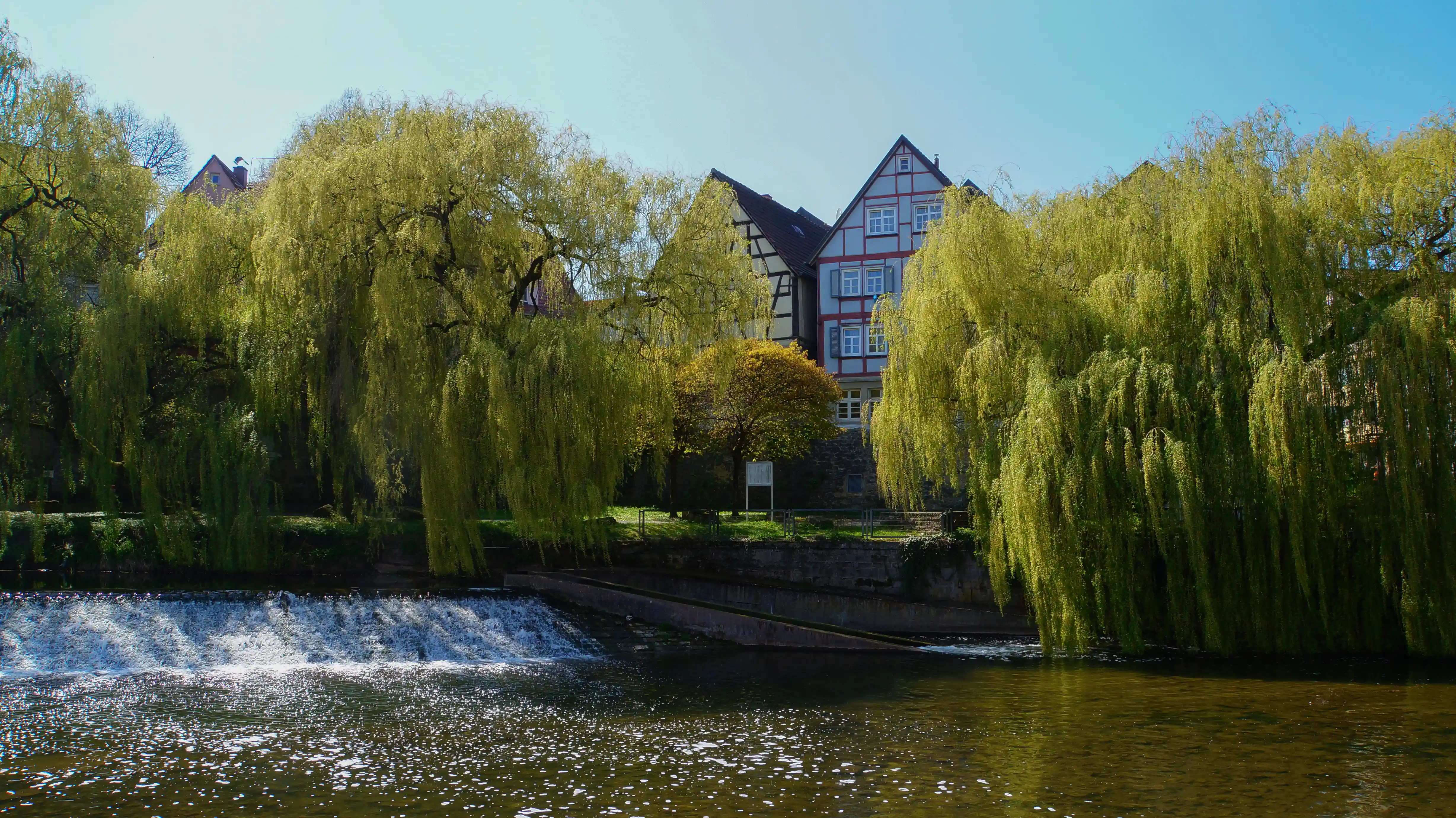 Immobilienmakler in Backnang