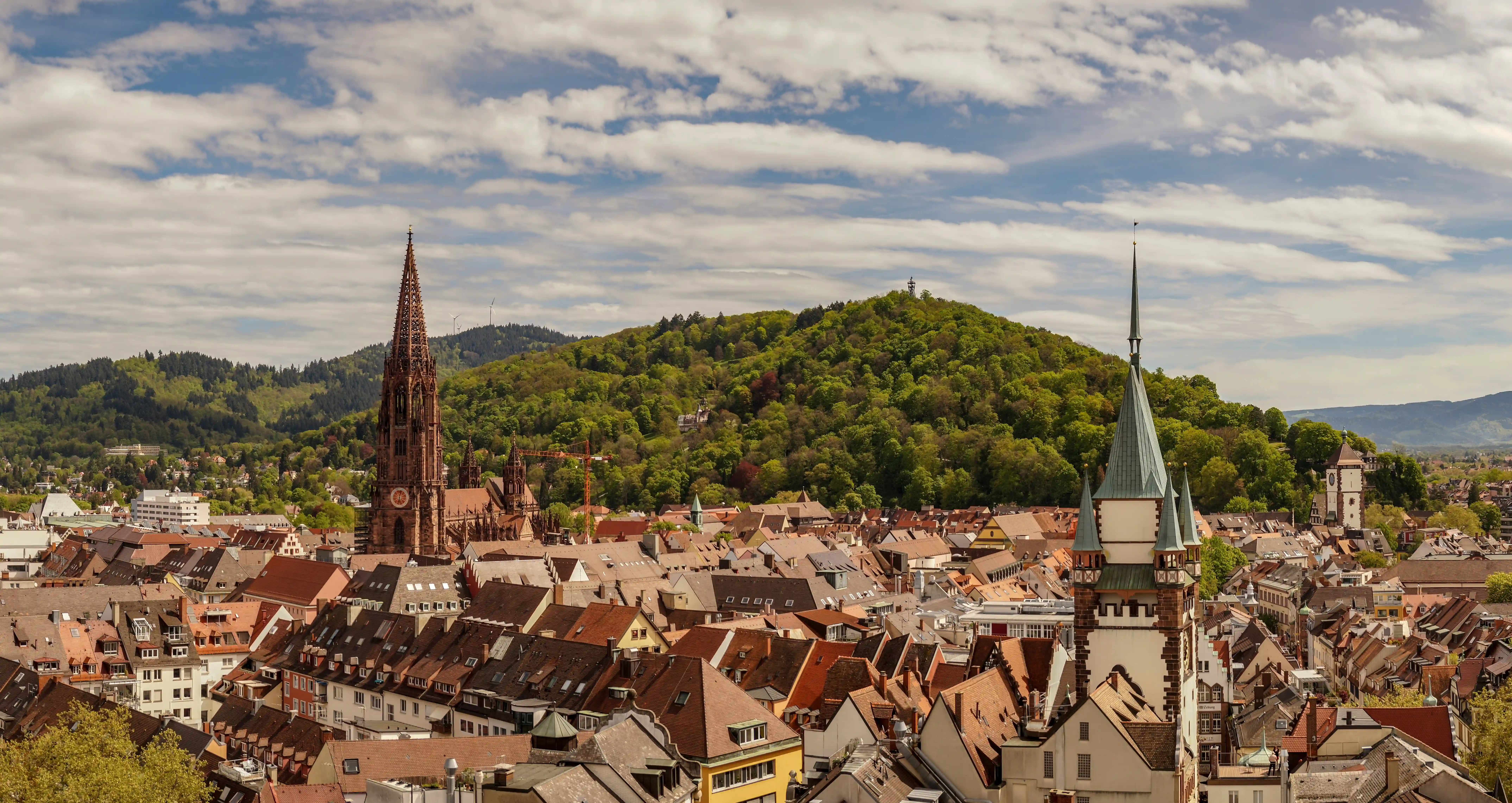 Ihr Immobilienmakler in Freiburg