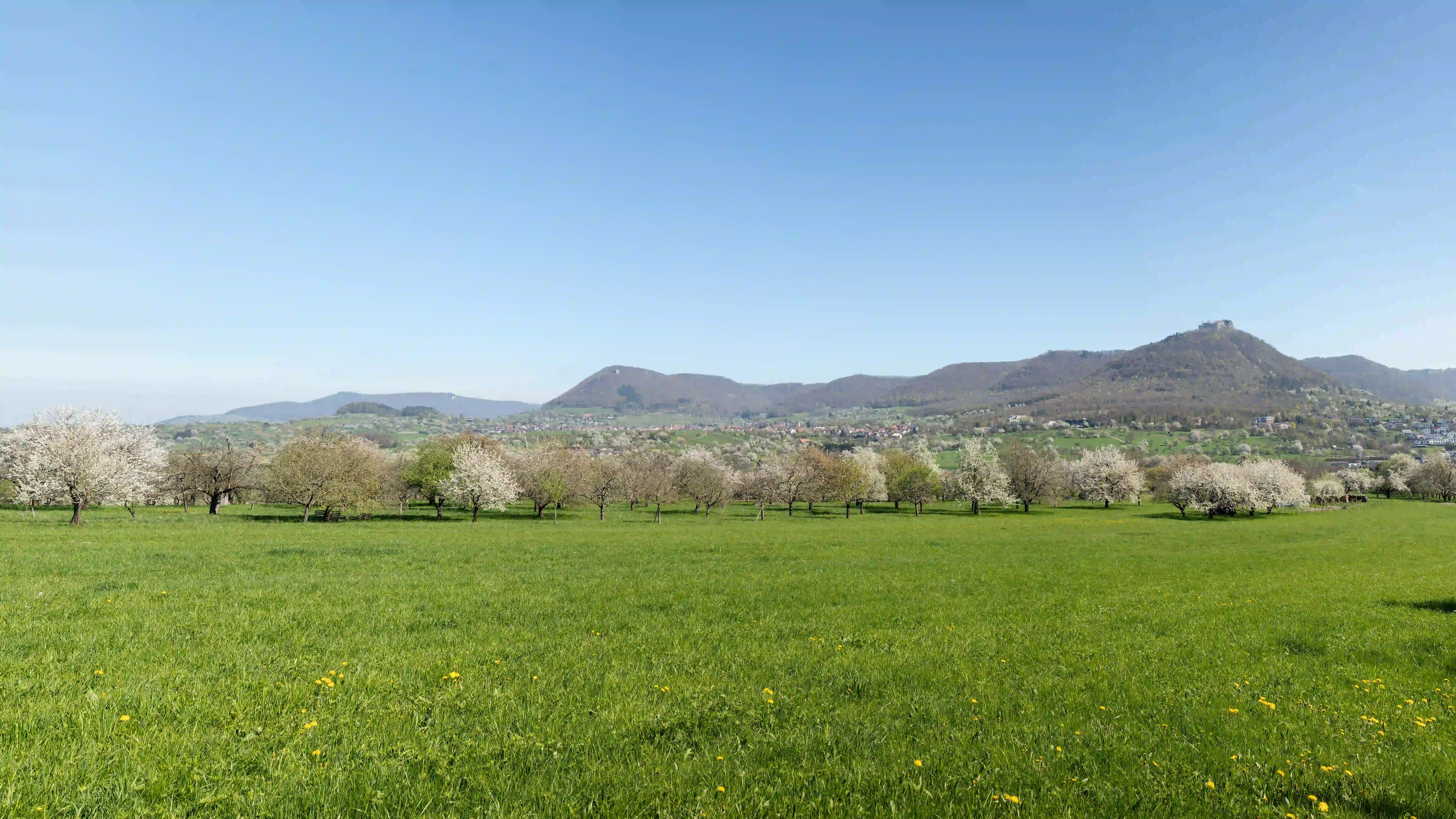 Immobilienmakler in Oberboihingen