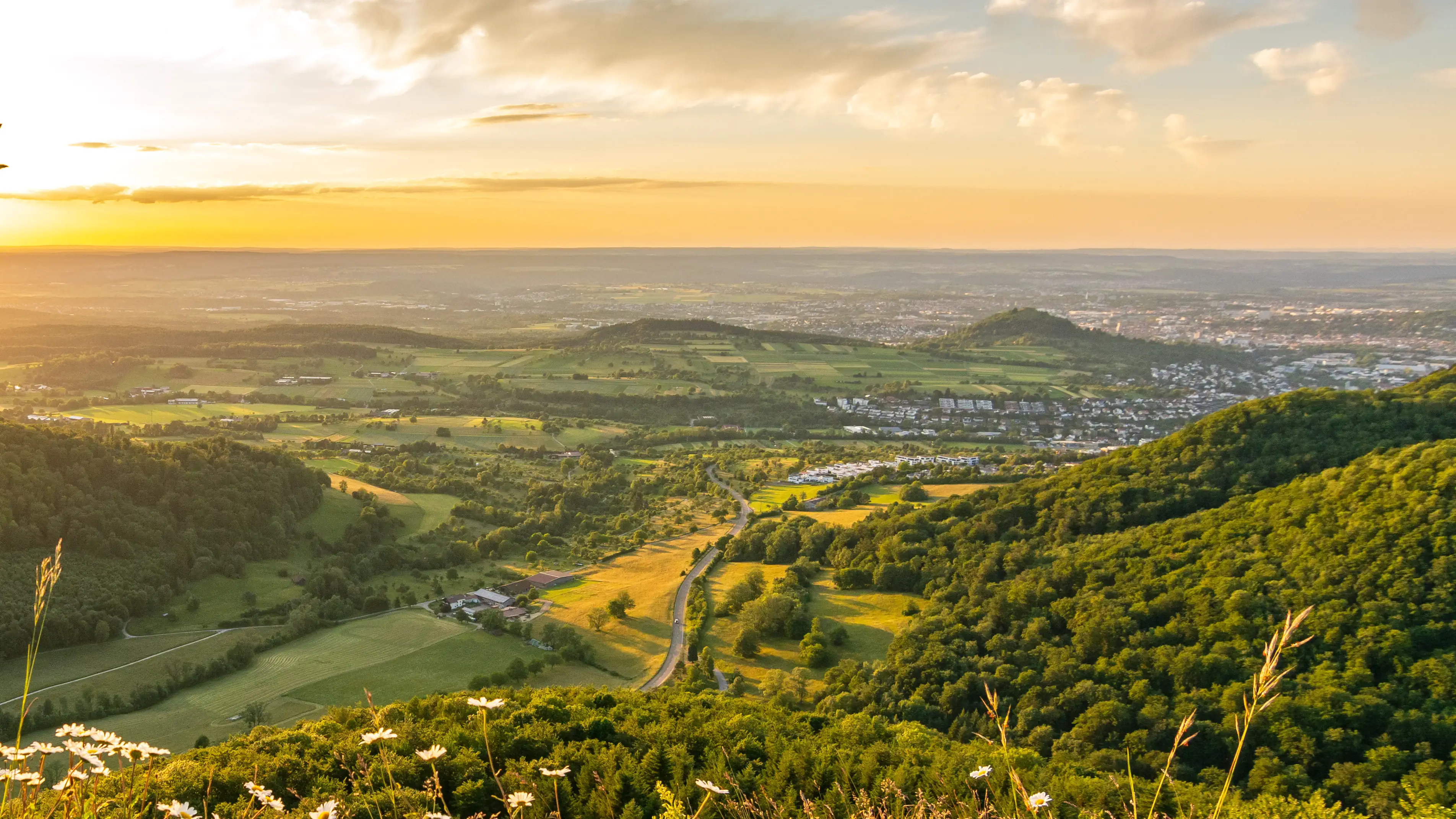 Immobilienmakler in Pfronstetten