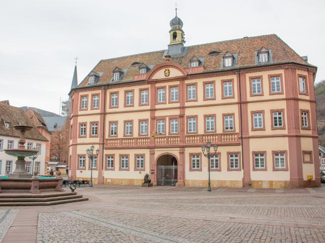 Ihr Immobilienmakler in der Pfalz » GARANT Immobilien