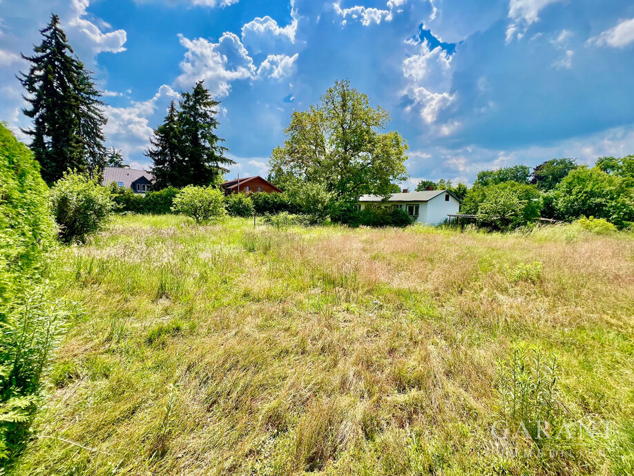 Garten Blick.li..Grundstück1