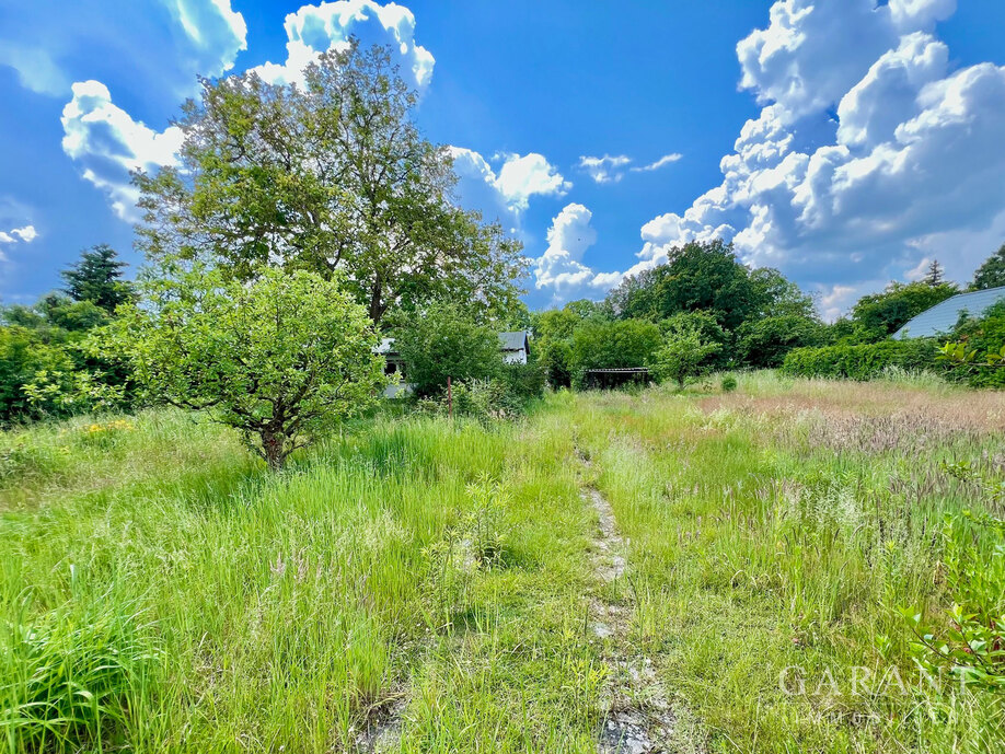 Garten Blick.Mitte.Grundstück1
