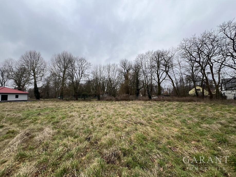 Blick Richtung Grundstücksgrenze straßenseitig