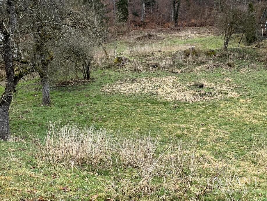 Baugrundstück