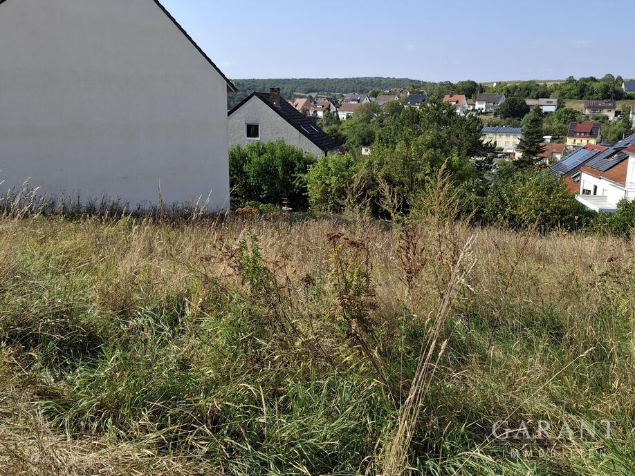 Fotos - Teil 1