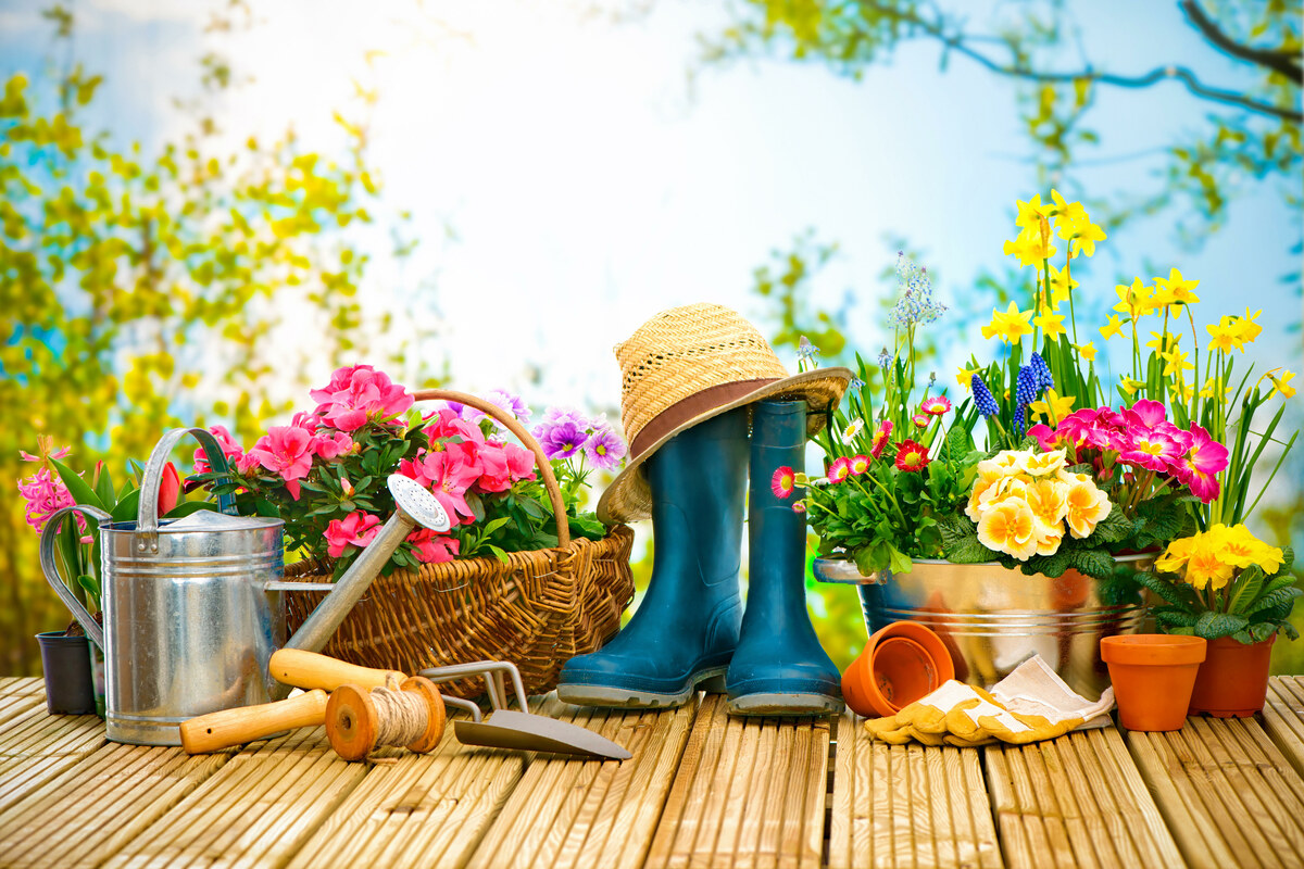 Garten2