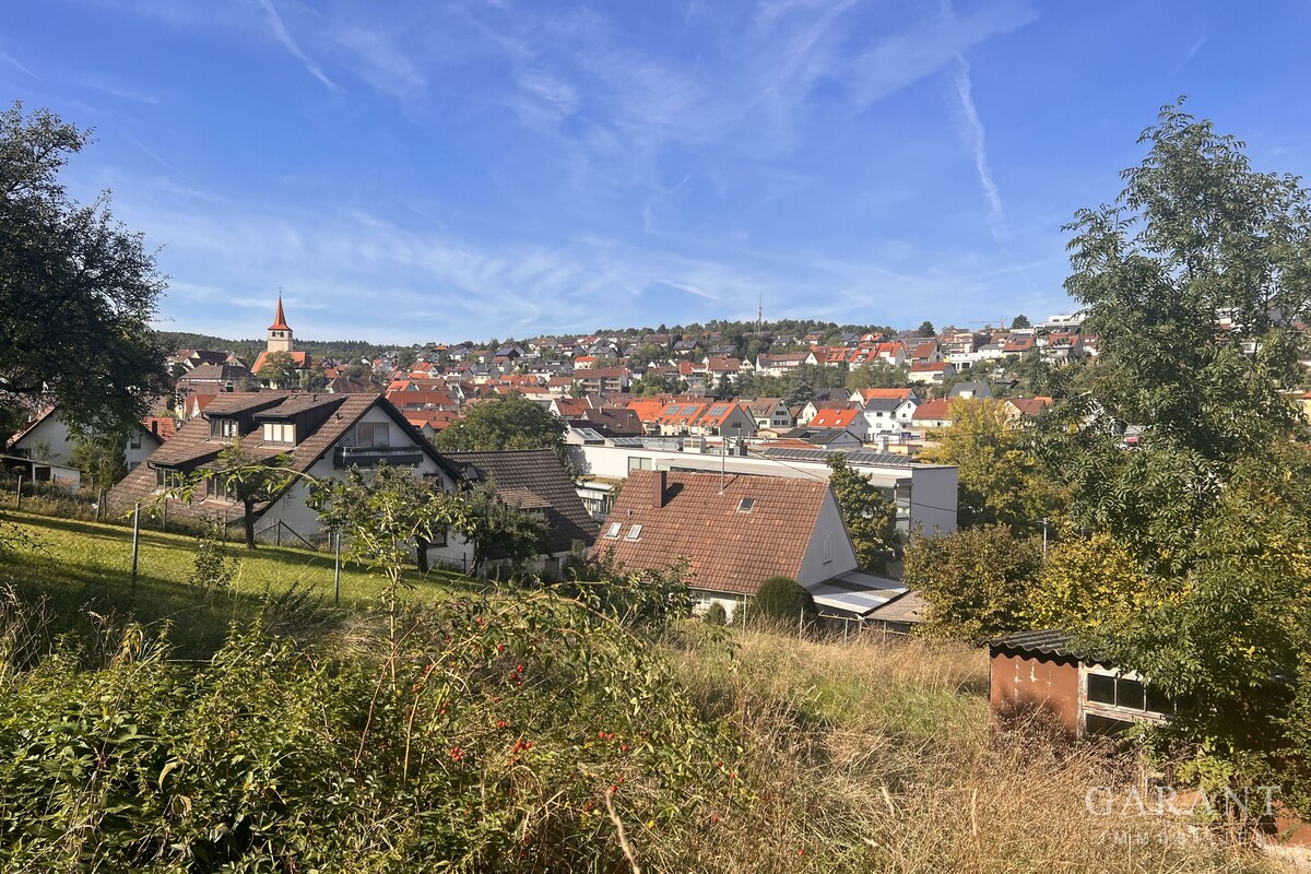 IMG 0959