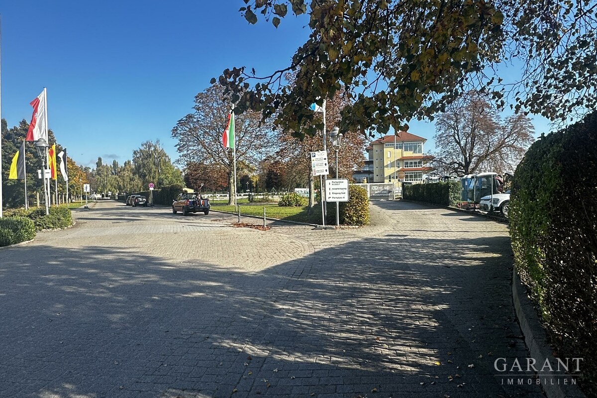 IMG 3600