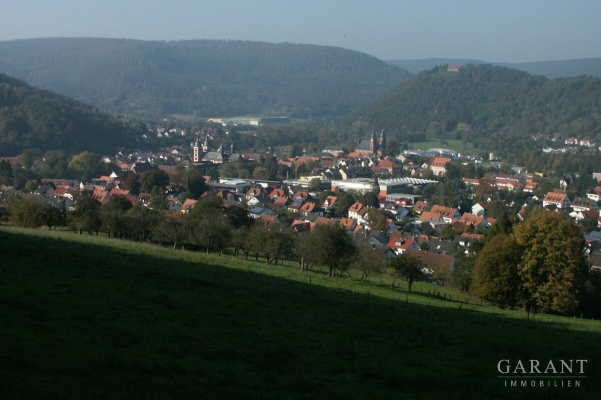 Blick auf Amorbach