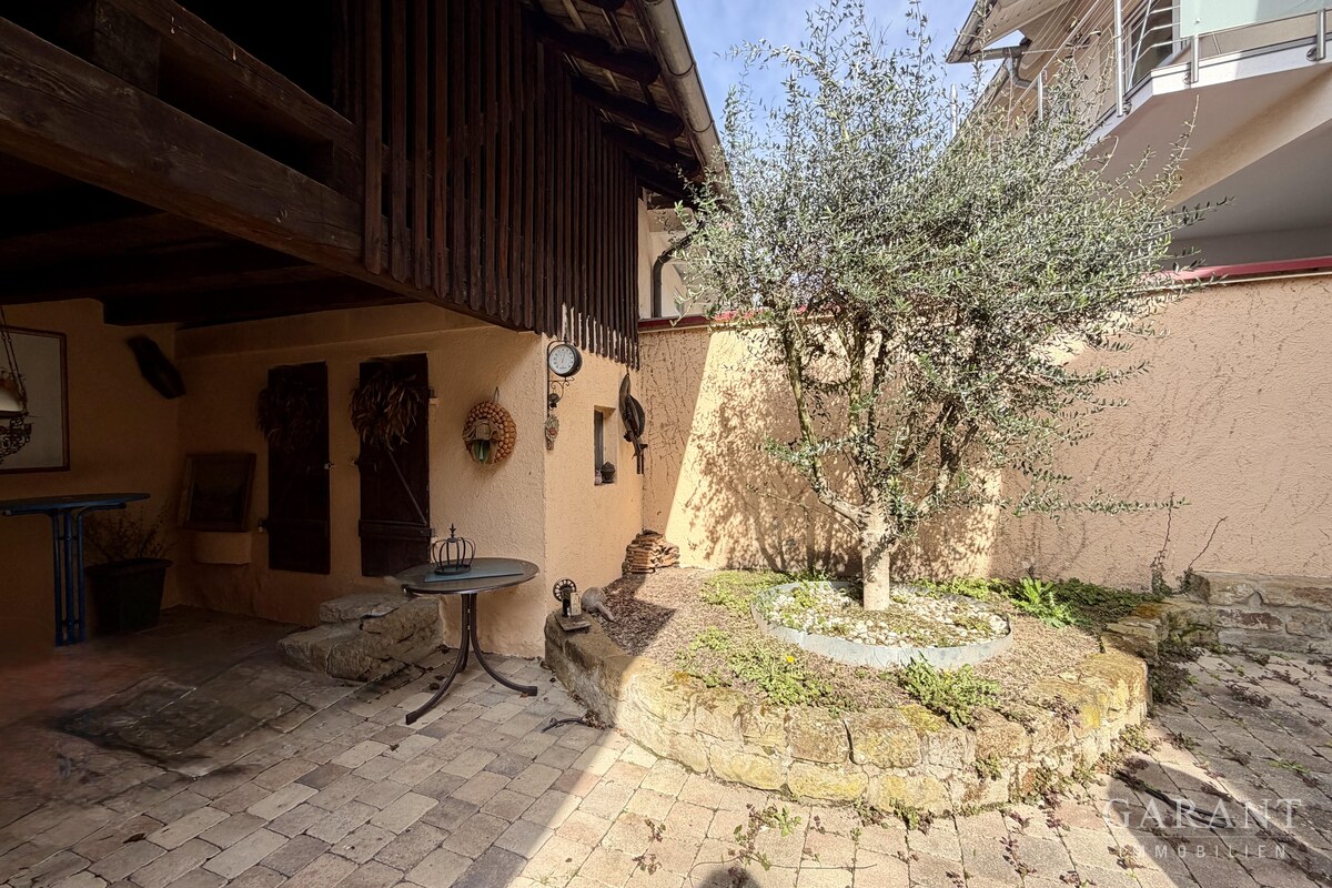 Mediterraner Innenhof mit Olivenbaum