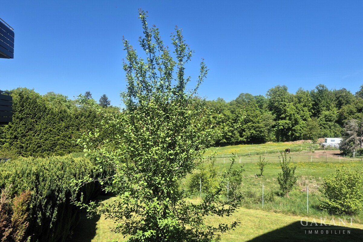 Aussicht Balkon