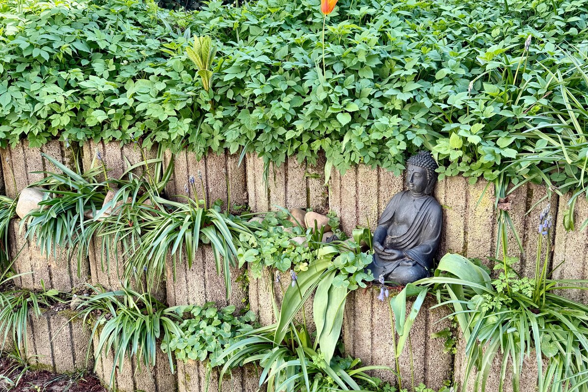 Terrasse Buddha