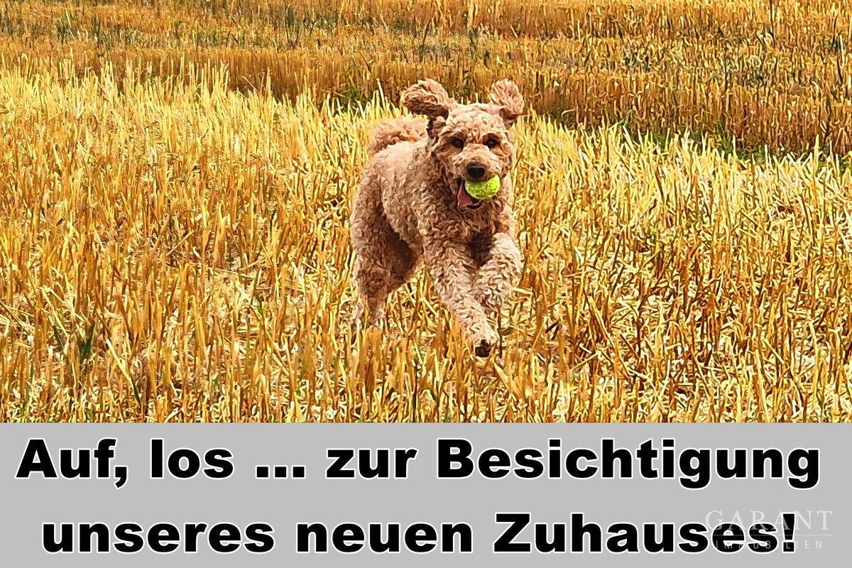 Auf, los ... zur Besichtigung unseres neuen Zuhaus
