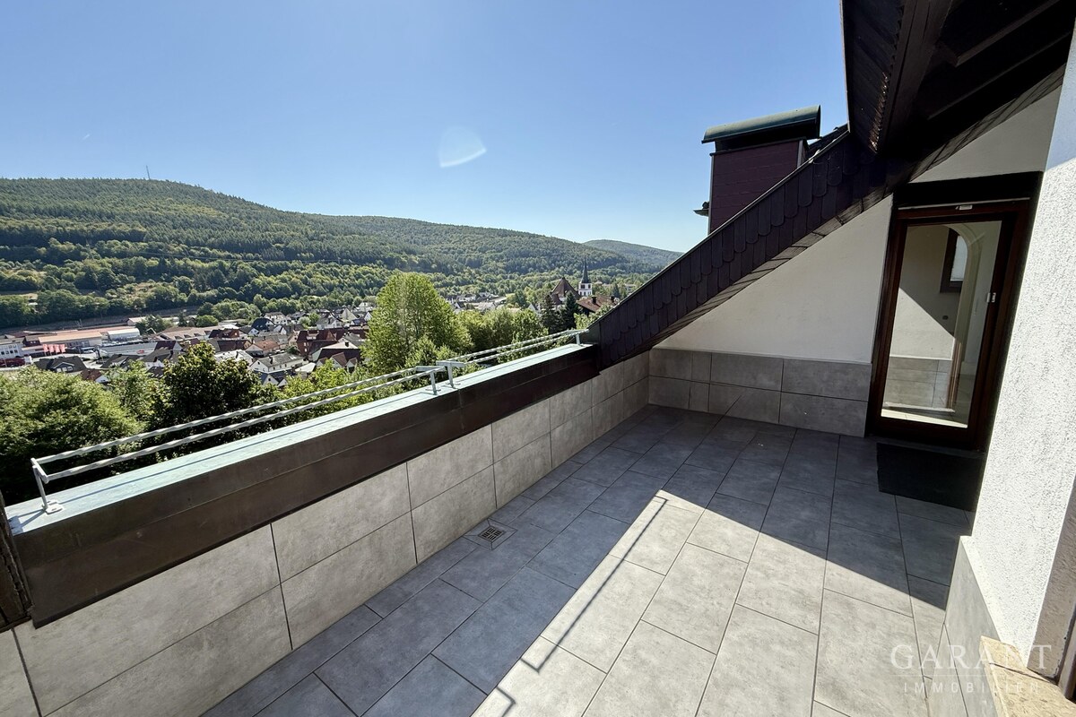 Dachterrasse 1