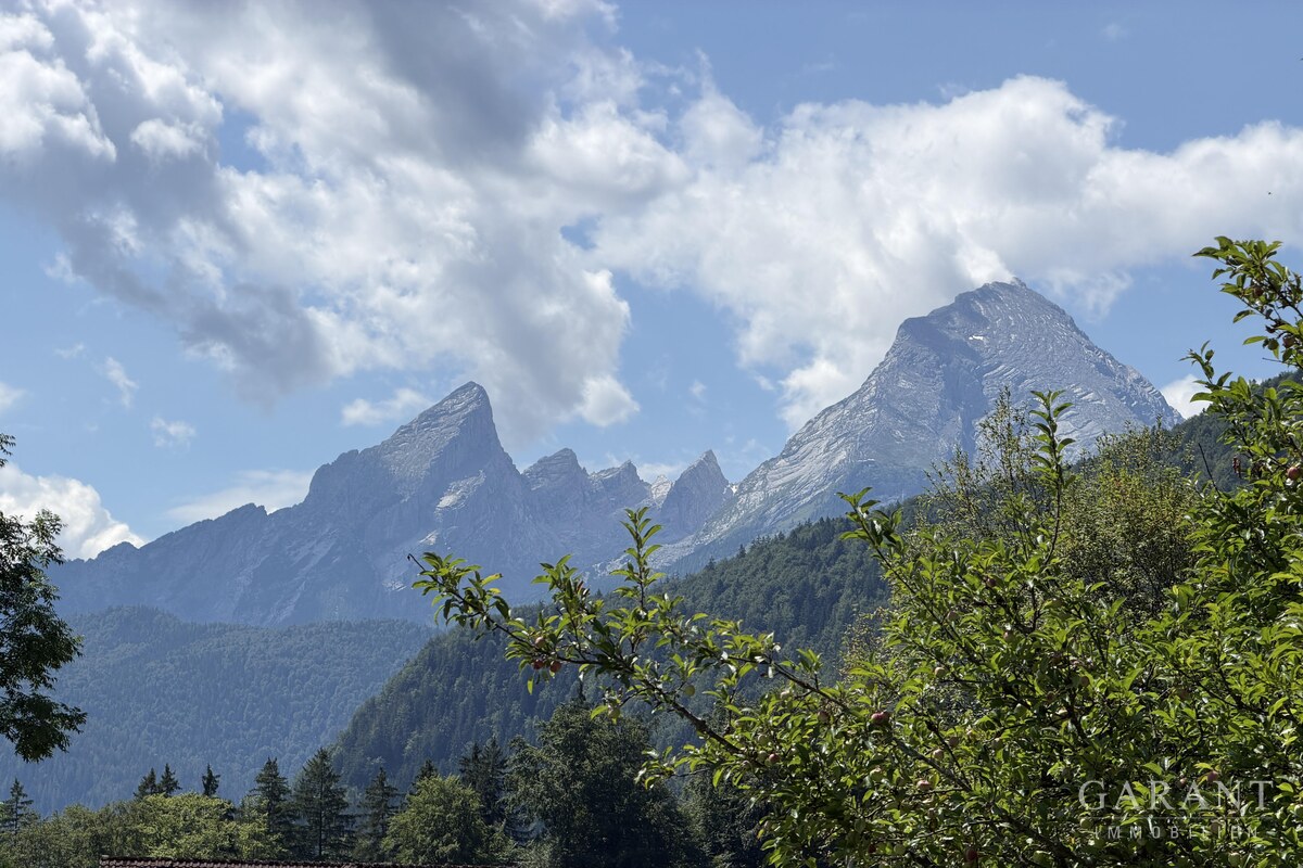 Ausblick