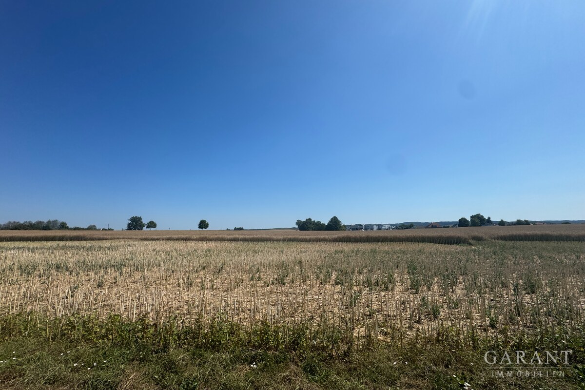 Ackerland