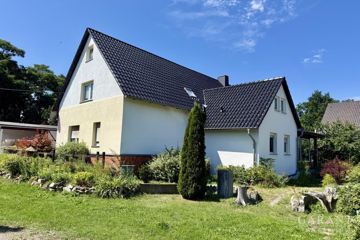 IMG 0394