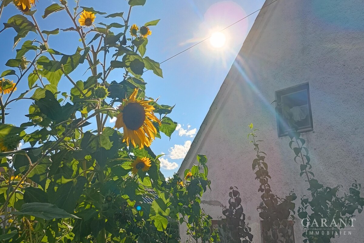 Was versteckt sich da?
